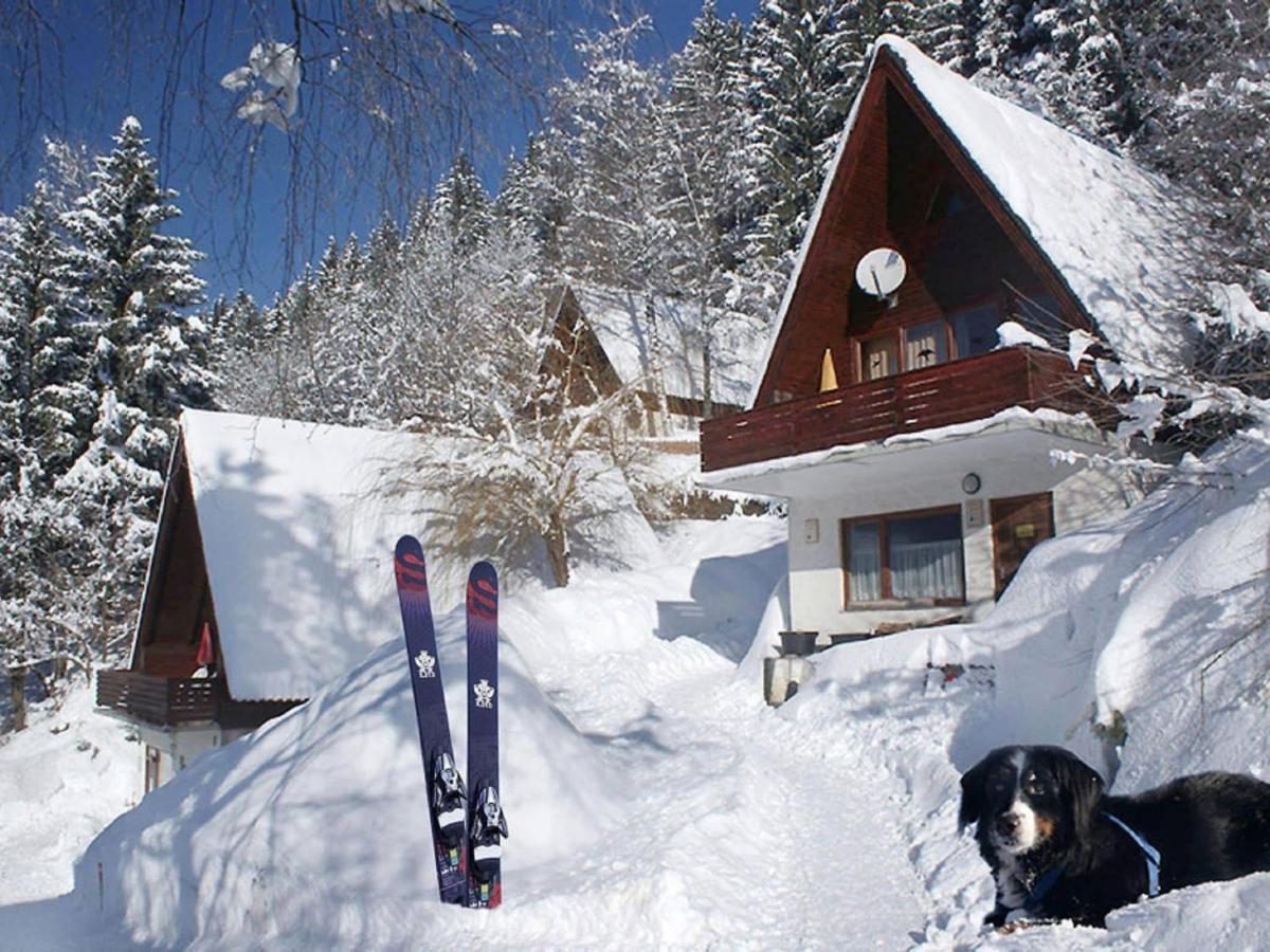 Holiday Home In Jenig Carinthia With Pool Kültér fotó